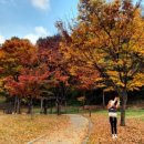 배꽃근린공원 이미지