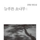늘푸른소나무