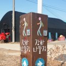 교동도 여행후기