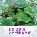 압량읍행정복지센터 이미지