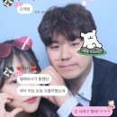 보송보송 타코야끼 이미지