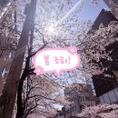 비브리앙 | 혼밥 하기 좋은 츠키젠에서의 샤톤브리앙 내 돈 내산 솔직 기록 - [합정맛집]