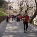 계족산- 봄바람 불어오는 길따라 황톳길 봄꽃 속으로. 이미지