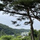 송림농원민박 이미지