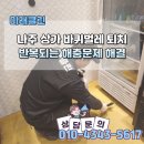 [나주 상가, 건물 바퀴벌레 퇴치 방역업체] 반복되는 해충문제 해결 방법은 없을까요?