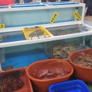 제일수산 | [경북/경주] 감포읍 &#34;수협활어직판장 제일수산&#34; 내돈내산 추천후기