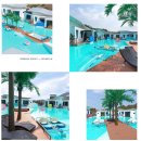 드레피인 이미지