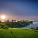 (주)파인비치 이미지