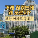 삼환아파트노인정 | 부산 아파트 6억·9억·11억 라인별 분위기 총정리