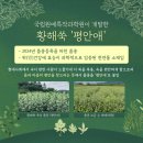 황해약초