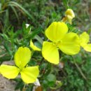 닭실민박 이미지