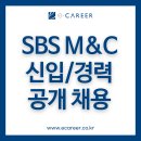 종로화학상사 | [취업컨설팅] [SBS M&amp;C] 신입/경력 사원 공개채용 (~8/26)