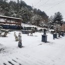 의료법인 은광의료재단 자유로요양병원 네이버블로그