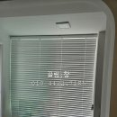 계산동 은행나무 | 인천 계양구 계산동 초정마을 동아아파트 우드블라인드 시공후기
