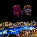 [신규] (단기)라이브커머스 이미지