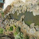 영국농장 이미지