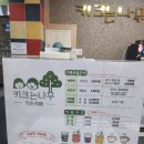 키크는 나무 이미지