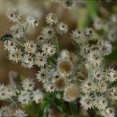 태평모텔 이미지