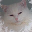 숨숨집 이미지