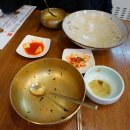 팔도비빔밥 티스토리