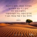 건성 이미지