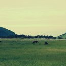 녹원목장 이미지