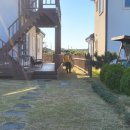 옹포민박 이미지