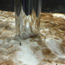 펭귄식당부천점 | 부천 아이와 갈만한곳 아쿠아리움 두돌 여아 후기