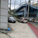 피자마루모던통닭
