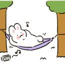 가야경 오토캠핑장 이미지