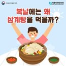 복날에 삼계탕을 먹는 이유 이미지