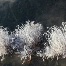 그리움한잔 이미지