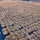 싸리목장 이미지