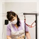 GD동물병원 이미지