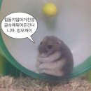 하길로 R 이미지