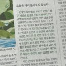 오라숨영어과학학원 | 행복하게 만들어주는 행동들