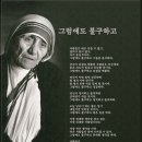 테라사 이미지