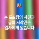 세계환경공사 | 전주수목원-주차/사진공모전/2025 세계장미회 최고정원상/개화 실시간/방문후기