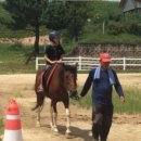 화랑인터넷 이미지