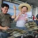 은어축제 문화유적탐방버스 이미지