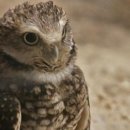 유림모터 이미지