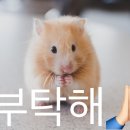 인성 이미지