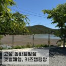씨알농원 | 경남 갯벌체험이 가능한 신상 키즈캠핑장, 고성 동화캠핑장
