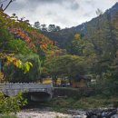 상가홍천 | 홍천 수타사 후기 가을명소 단풍 여행지 추천!