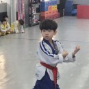 용인대유일태권도특공무술 이미지