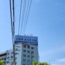 🚗직영 중고차 플랫폼 K카로 중고차 구입 리뷰_K5 2세대 MX 2.0 프레스티지 화이트