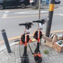 족발연가 이미지