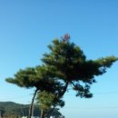 코스트밸리펜션 이미지