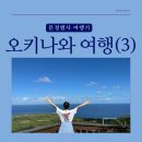 신화자동차정비 | 오키나와 여행(3)