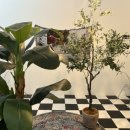 삽교천길 이미지